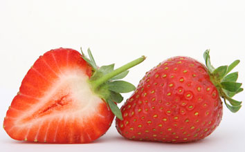 fresas